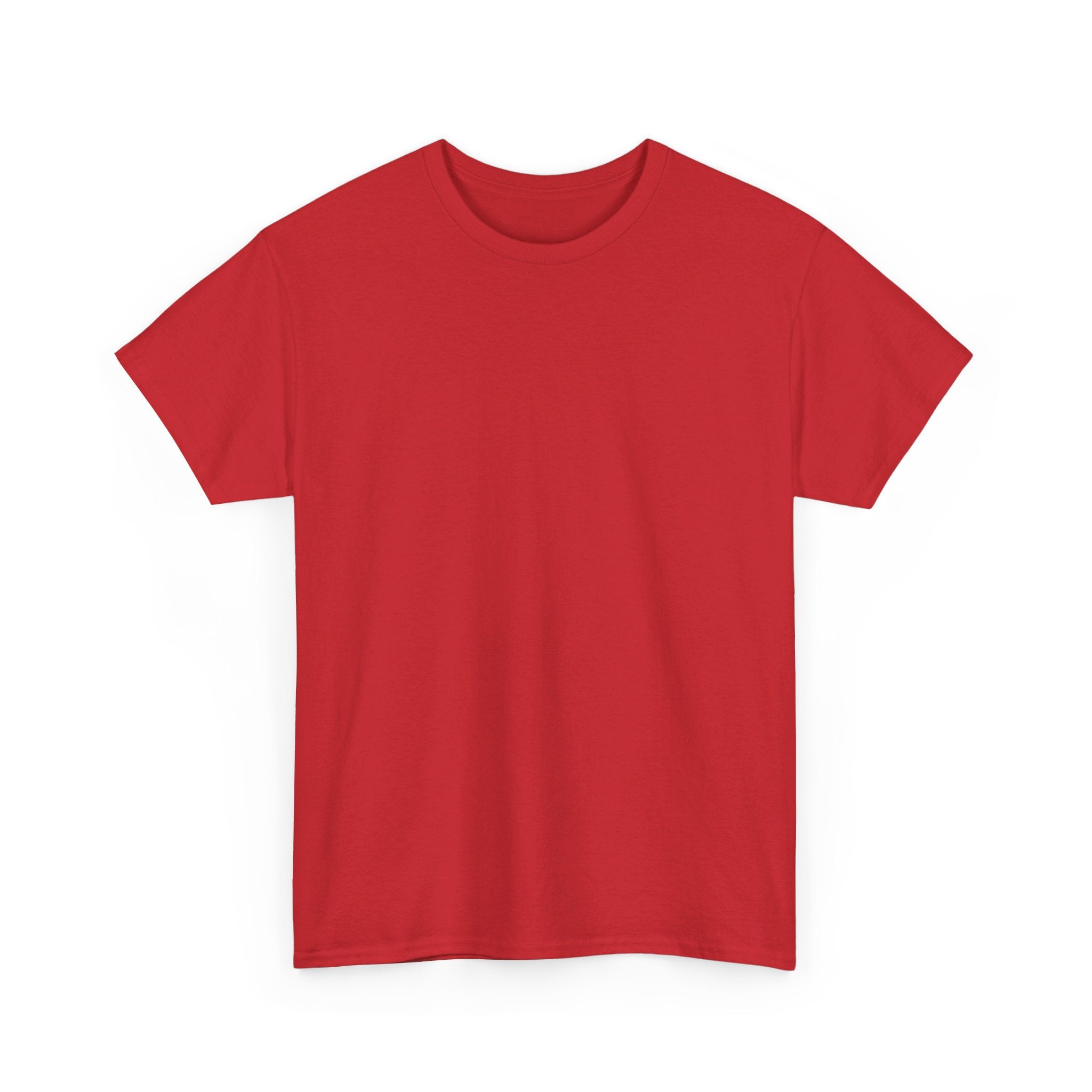 Nauseous but Nice Heavy Cotton Tee
